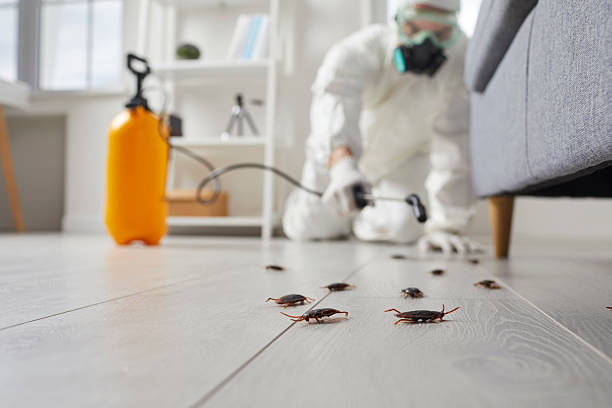 Affordable Cockroach Control solutions in Bressler, PA