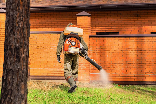 Top rated local Cockroach Control specialists in Bressler, PA
